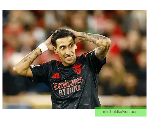 迪马利亚职业解析：状态回暖，值得关注的表现趋势